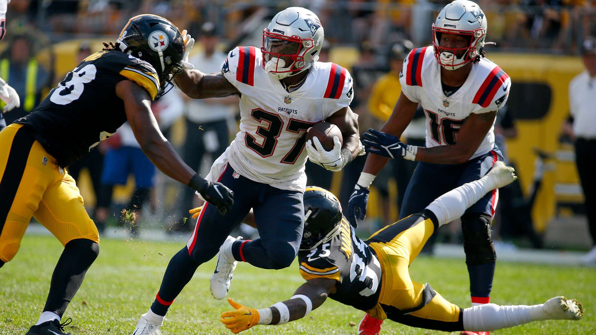 她与其他主 她与其他主